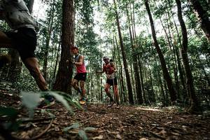 BIB: 
                            <button type="button" onclick="openModal(25261153)" class="btn btn-primary btn-sm float-right btn-popup" data-toggle="modal" data-target=".modal-high-quality">
                        <i class="fas fa-shopping-cart"></i> Add to Cart
                    </button>
                                            <button type="button" onclick="isThisMe(25261153, true)" class="btn btn-success btn-sm float-right btn-popup btn-isme hidden" data-toggle="tooltip" data-placement="bottom" title="นี่คือรูปของคุณใช่ไหม คลิกที่นี่เพื่อเอาเข้าอัลบั้ม">
                        <i class="fas fa-plus"></i> Add to album
                    </button>
                    <button type="button" onclick="isThisMe(25261153, false)" class="btn btn-warning btn-sm float-right btn-popup btn-isnotme hidden">
                        <i class="fas fa-ban"></i> Remove from album
                    </button>